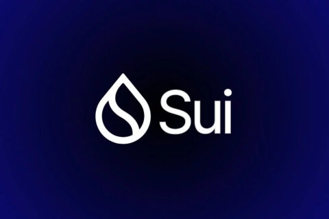 sui coin 1