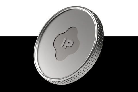 ip coin nedir